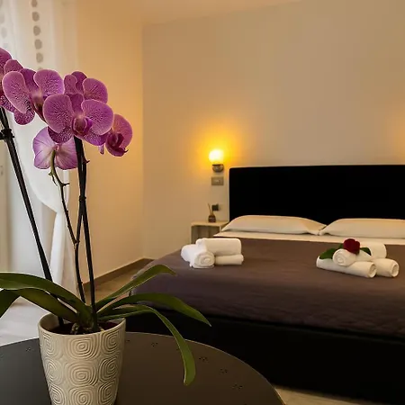 Vibes Guest house
