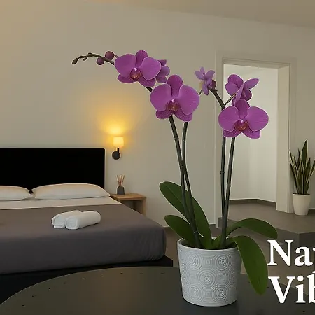 Vibes Pensionat Neapel